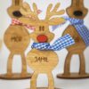 Julepynt med familiens navne - Rensdyr